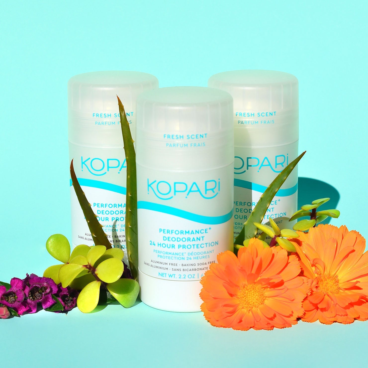 Performance Plus Aluminum-Free Deodorant
