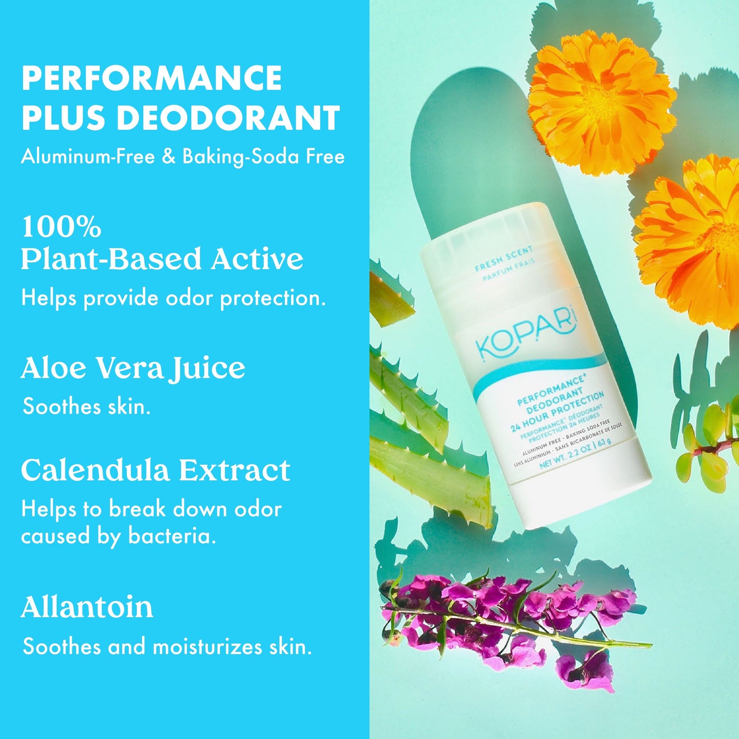 Performance Plus Aluminum-Free Deodorant