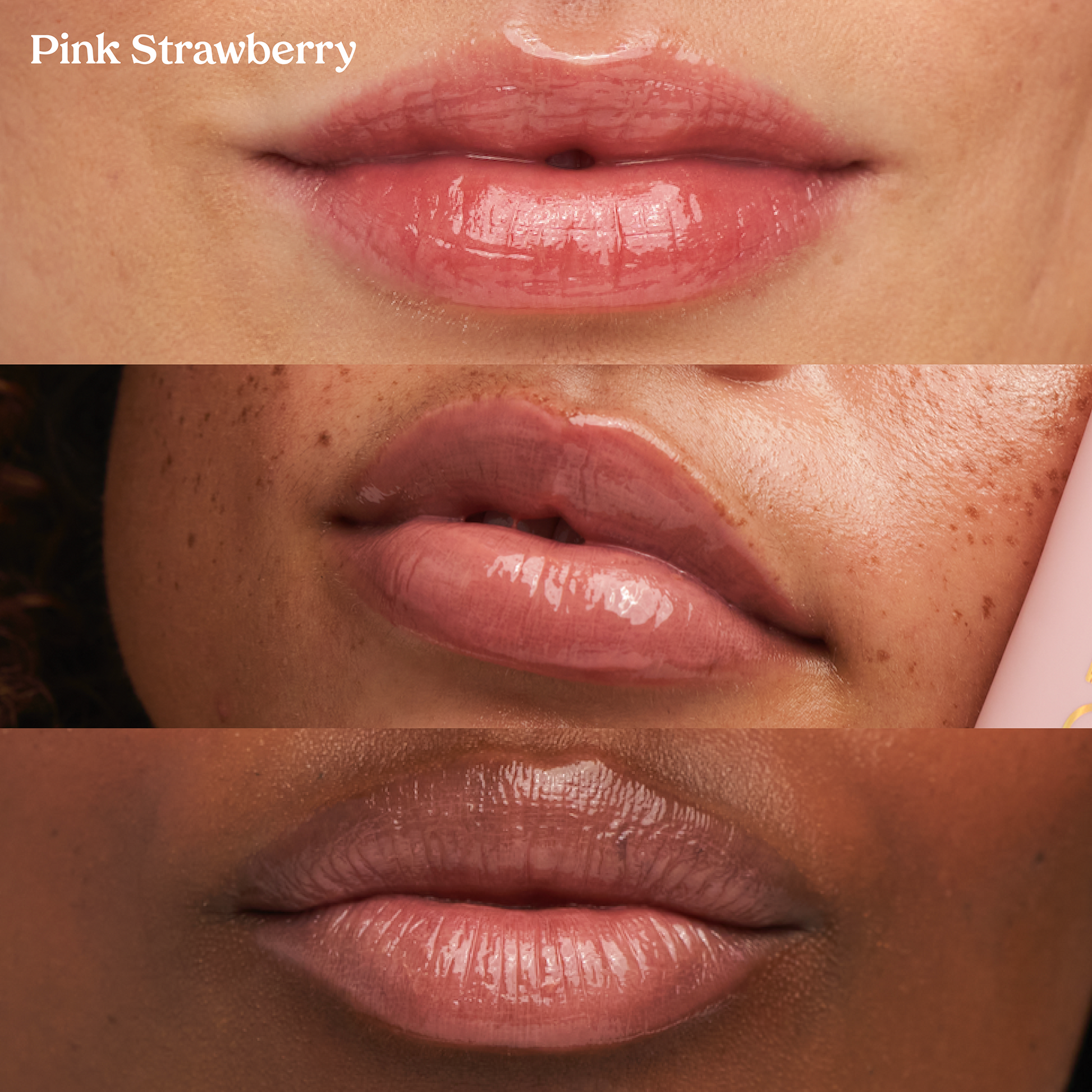 The Lip Love Collection